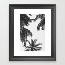 PALM TREES CXVII Framed Art Print