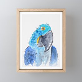 Mischievous macaw--tropical bird painting Framed Mini Art Print