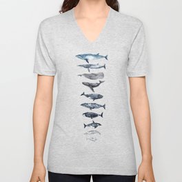 Types of Whales V Neck T Shirt
