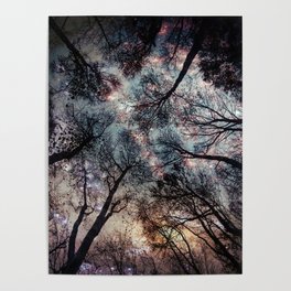 Starry Sky in the Forest Poster