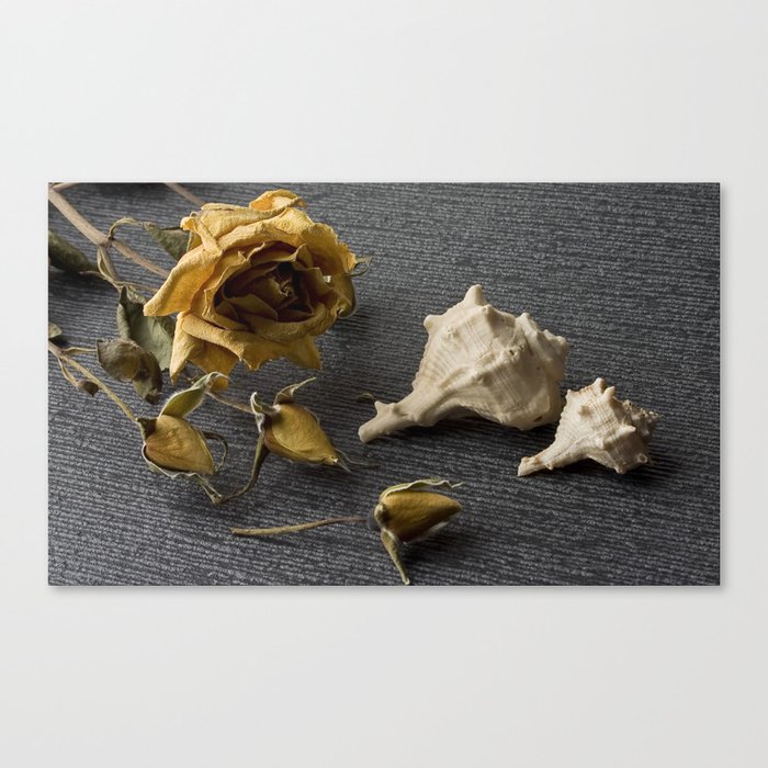 Flowers and conch shells. Canvas Print