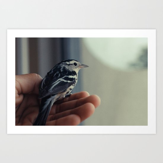 Bird Art Print