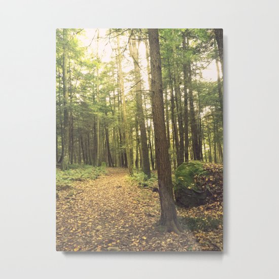 Adventure Awaits Metal Print
