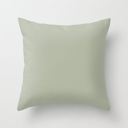 Saybrook Sage Solid Color Throw Pillow