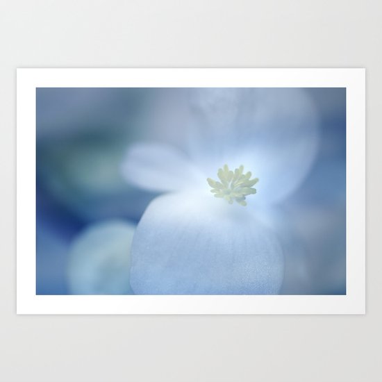 "Delicate white flower" Art Print