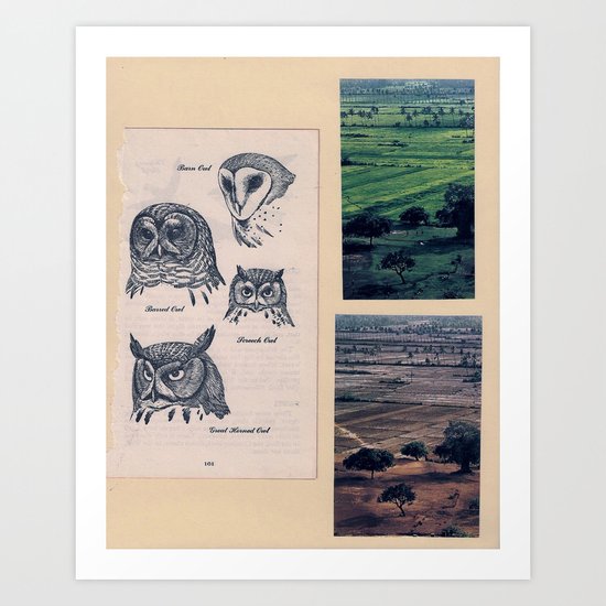 yin and yang Art Print