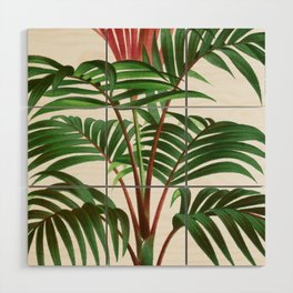 Vintage Palm Tree | Red Leaf Palm | Kentia macrocarpa | Les Palmiers Histoire Iconographique (1878)  Wood Wall Art