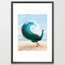 Summer Peacock Framed Art Print