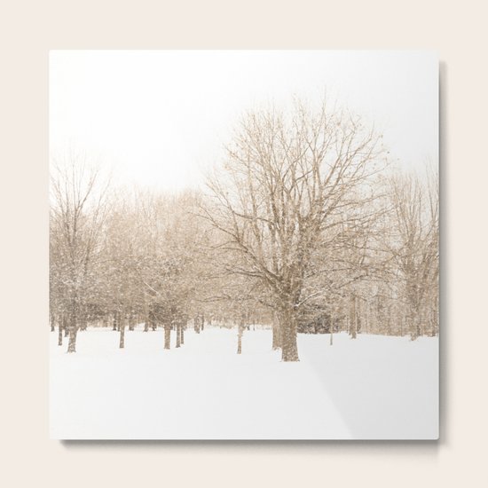 First Snow Metal Print