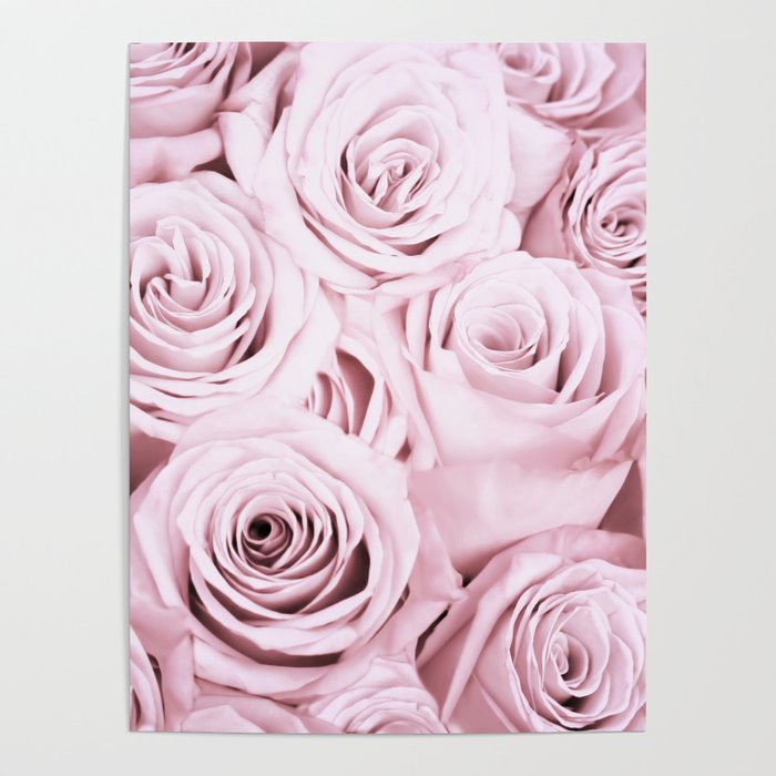 Pink Roses Flowers -Rose and flower pattern Poster