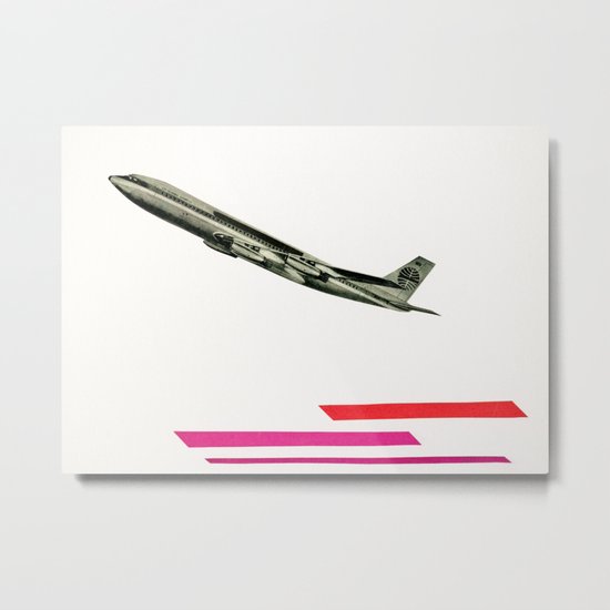 Take to the Air Metal Print