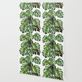 Tropical Monstera  Wallpaper