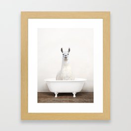 llama in a Vintage Bathtub Rustic Bath Style (c) Framed Art Print