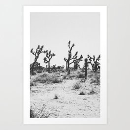 JOSHUA TREE IX / California Desert Art Print