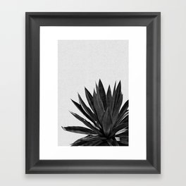 Agave Cactus Black & White Framed Art Print