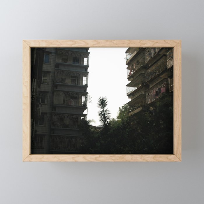 Tree in the city Framed Mini Art Print