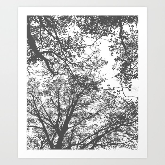 Grey Trees Abstract Art Print By Byjwp