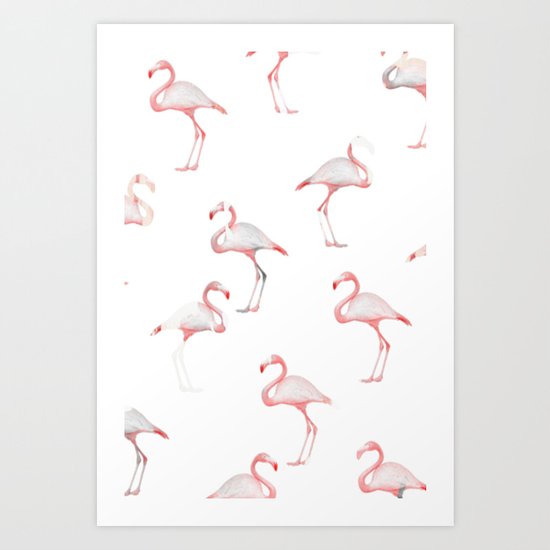 Flamingo Art Print