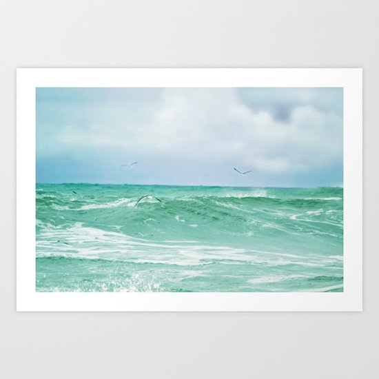 Soar Art Print