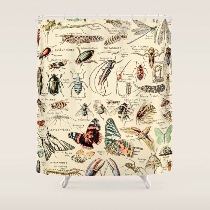 Vintage Insect Identification Chart // Arthropodes by Adolphe Millot XL ...