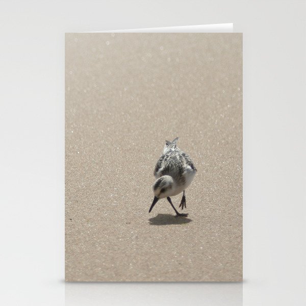 Sandpiper bird on wet sand Stationery Cards