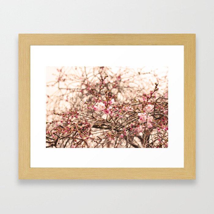 Spring Burst Framed Art Print