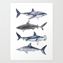 SHARKS Art Print
