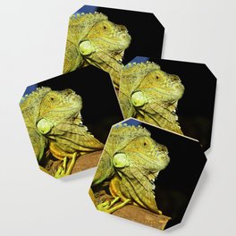Green iguana Coaster