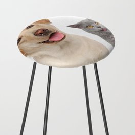 Dog and Cat Counter Stool