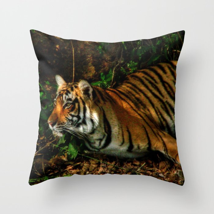 Bengal Beauty Throw Pillow