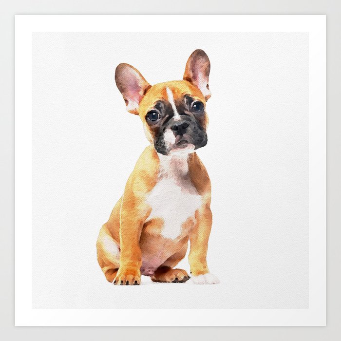 Get Wallpaper French Bulldog Puppy Watercolor Art Print By Huntleigh Society6 Free