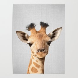 Baby Giraffe - Colorful Poster