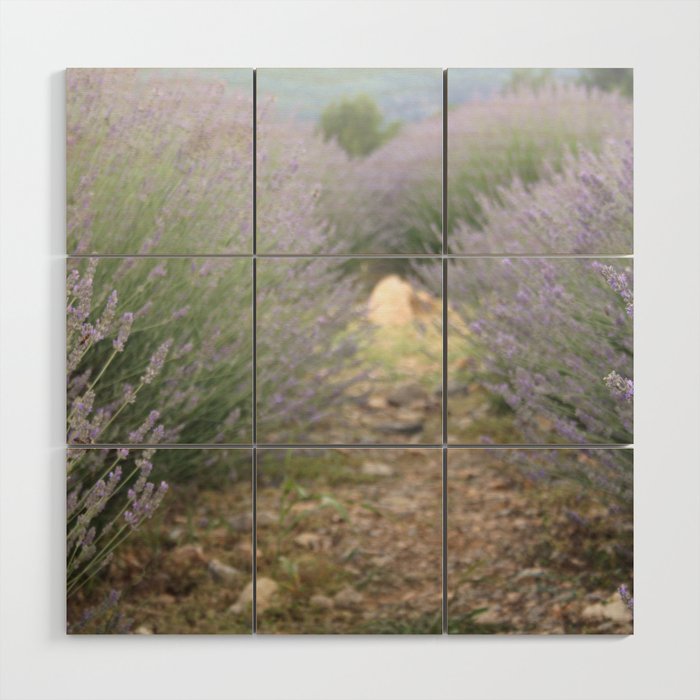 The Path Through Lavender Landscape Photograph Wood Wall Art