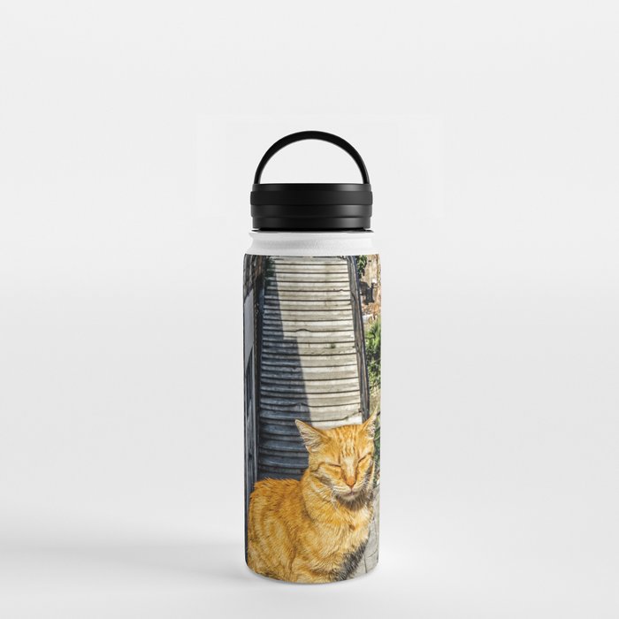 Argentina Photography - Beautiful Orange Cat Standing At The Stone Stairs Water Bottle