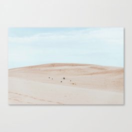 Dunes Two Canvas Print