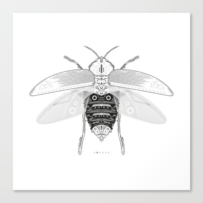 entomology 03. (ii) Canvas Print