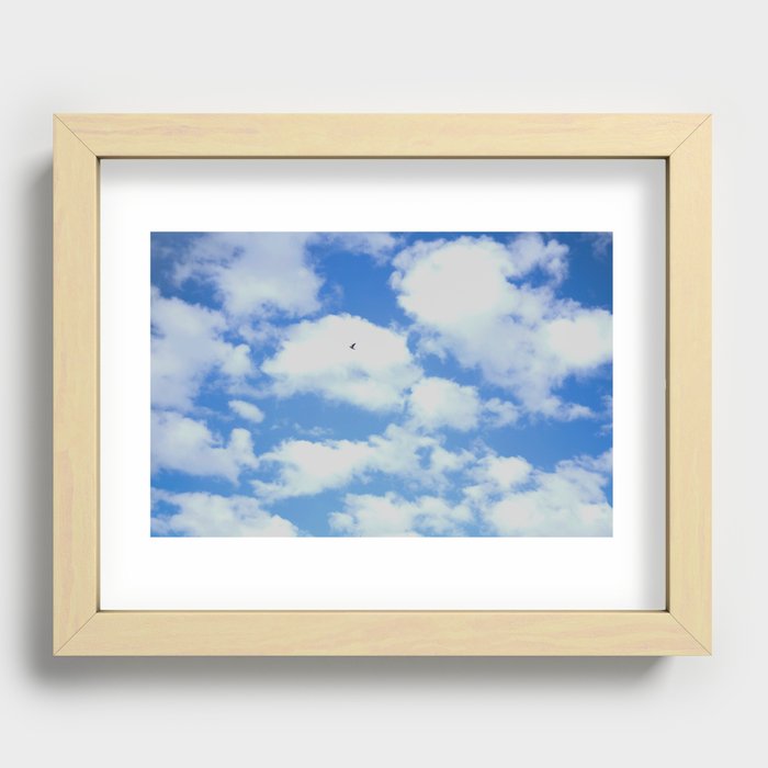 Flying solo Recessed Framed Print