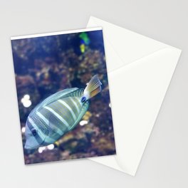 Stunner Fish Stationery Cards