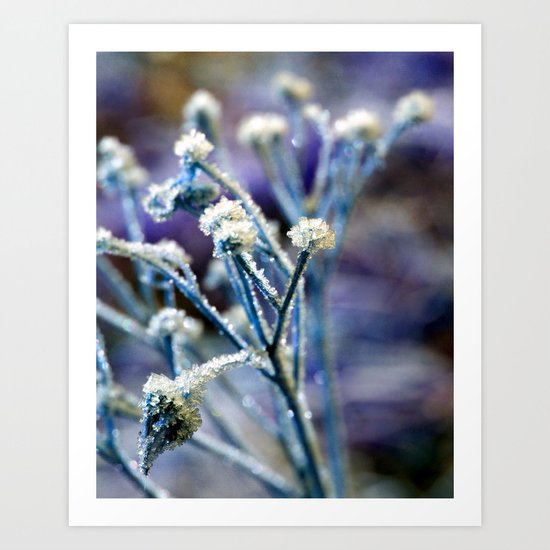 Deep Freeze Art Print