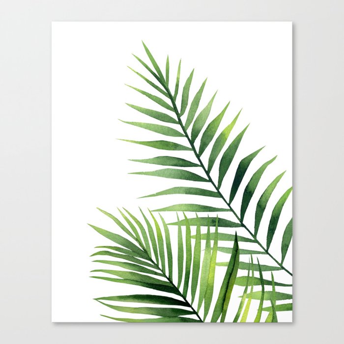 Palm Leaves Canvas Print By Asolo Society6 Palm Leaves Canvas Print By Asolo Society6