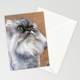 Casper the Cantankerous  Stationery Cards