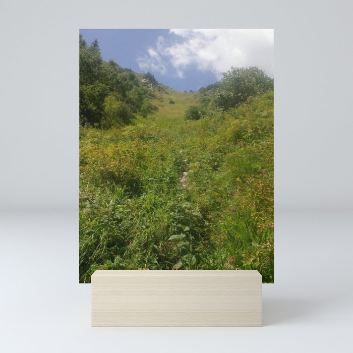 Mountains photography  Mini Art Print