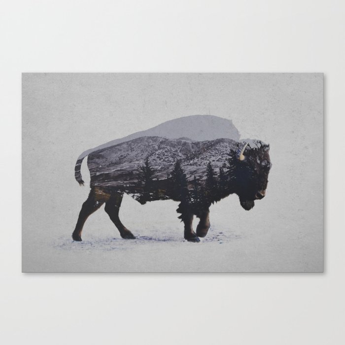 The American Bison Canvas Print