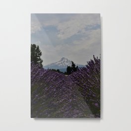 Lavender Dreams Metal Print | Color, Waterbottle, Art, Bottle, Sticker, Mug, Prints, Photo, Mountains, Travelmug 