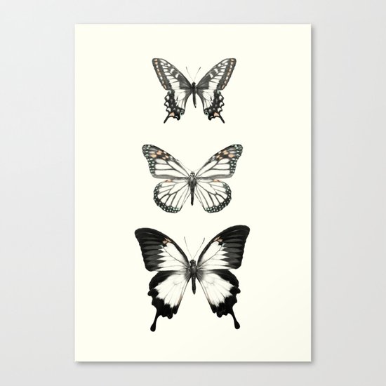 Butterflies // Align Canvas Print