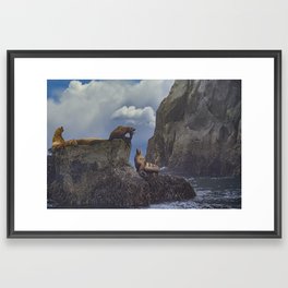 Sea Lions 8567 - Resurrection Bay, Alaska Framed Art Print