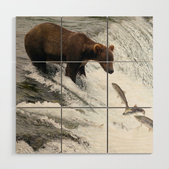 Patience pays off for a fishing grizzly bear Wood Wall Art