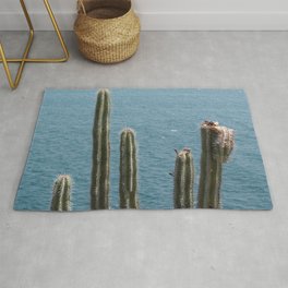 Mexico Photography - Cactuses At The Coast Of Mexico Area & Throw Rug