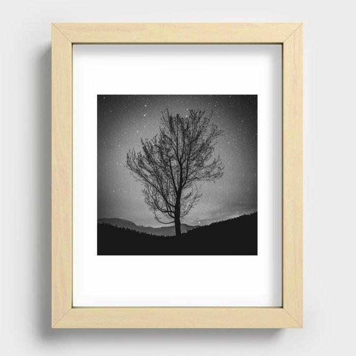 Lost lake solo tree Recessed Framed Print
