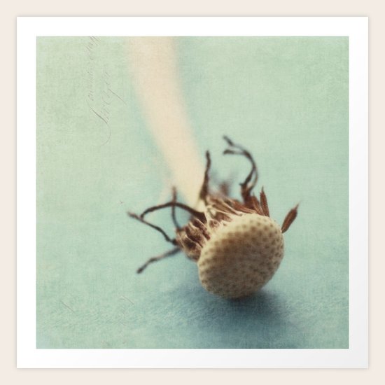 forgotten Art Print